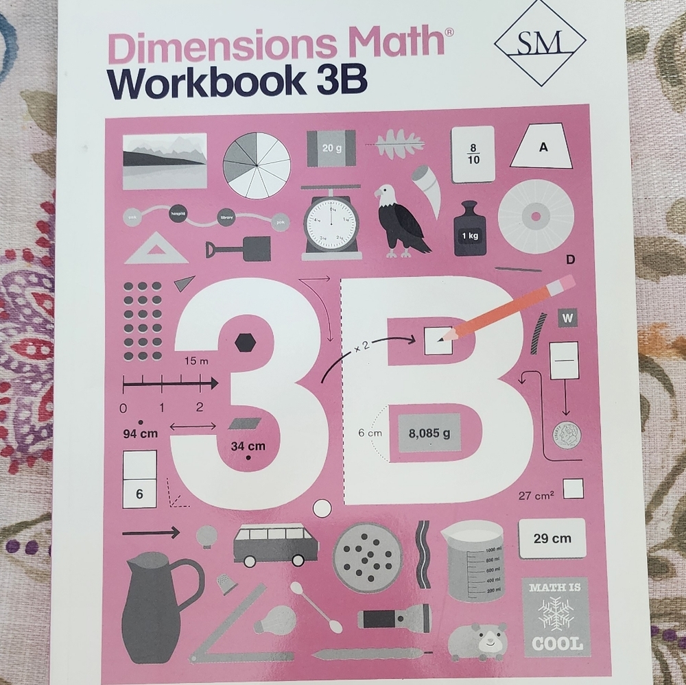 Singapore Dimensions Math workbook 3B